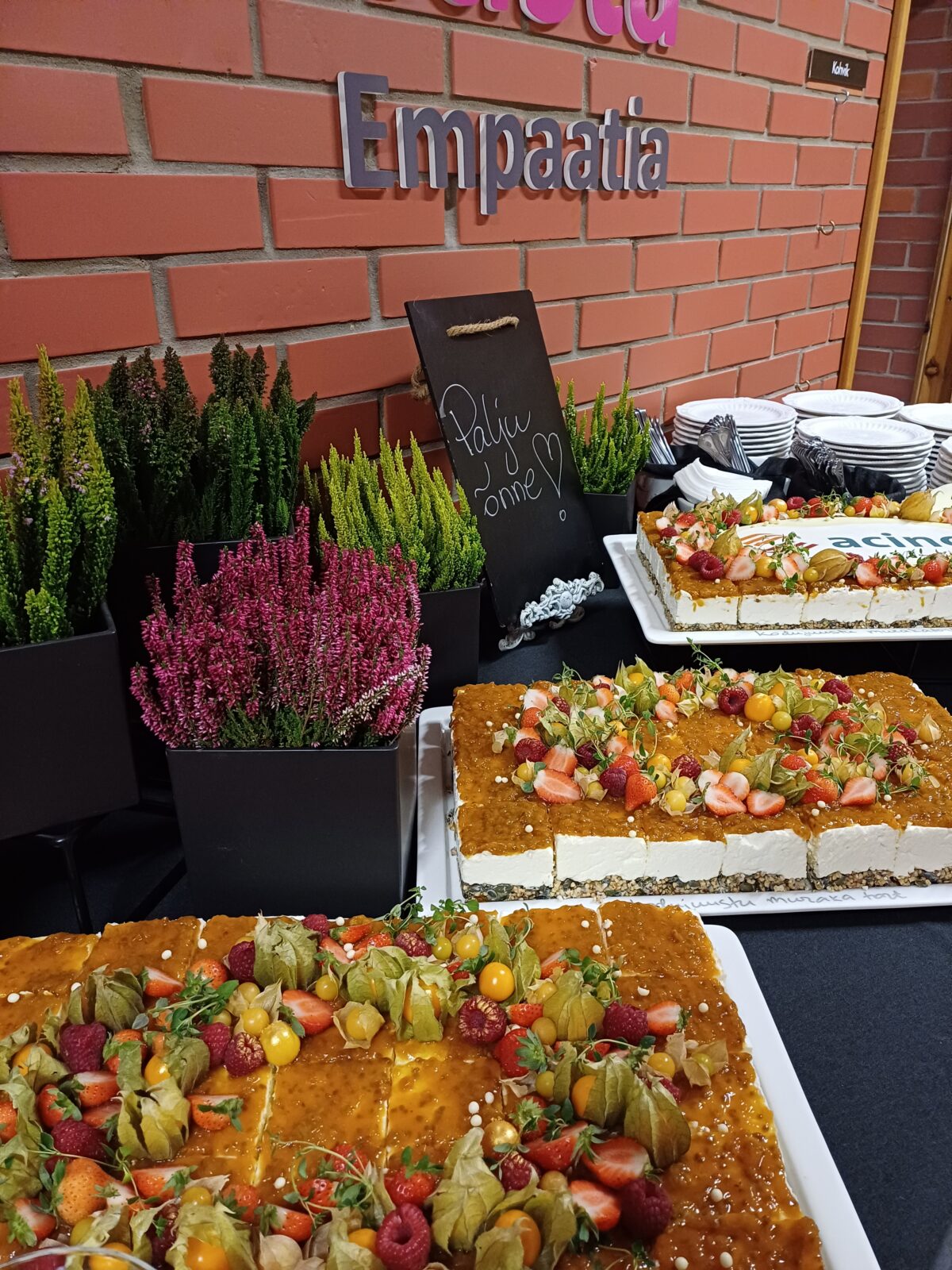 Mida_Teha_Lõuna-Eestis_Taevaskoda_Taevaskoja_catering_Põlvamaal_Valgamaal_Võrumaal_Tartumaal_Tartus_Tillu_kohvik_Eesti_Acino_Estonia_sünnipäev