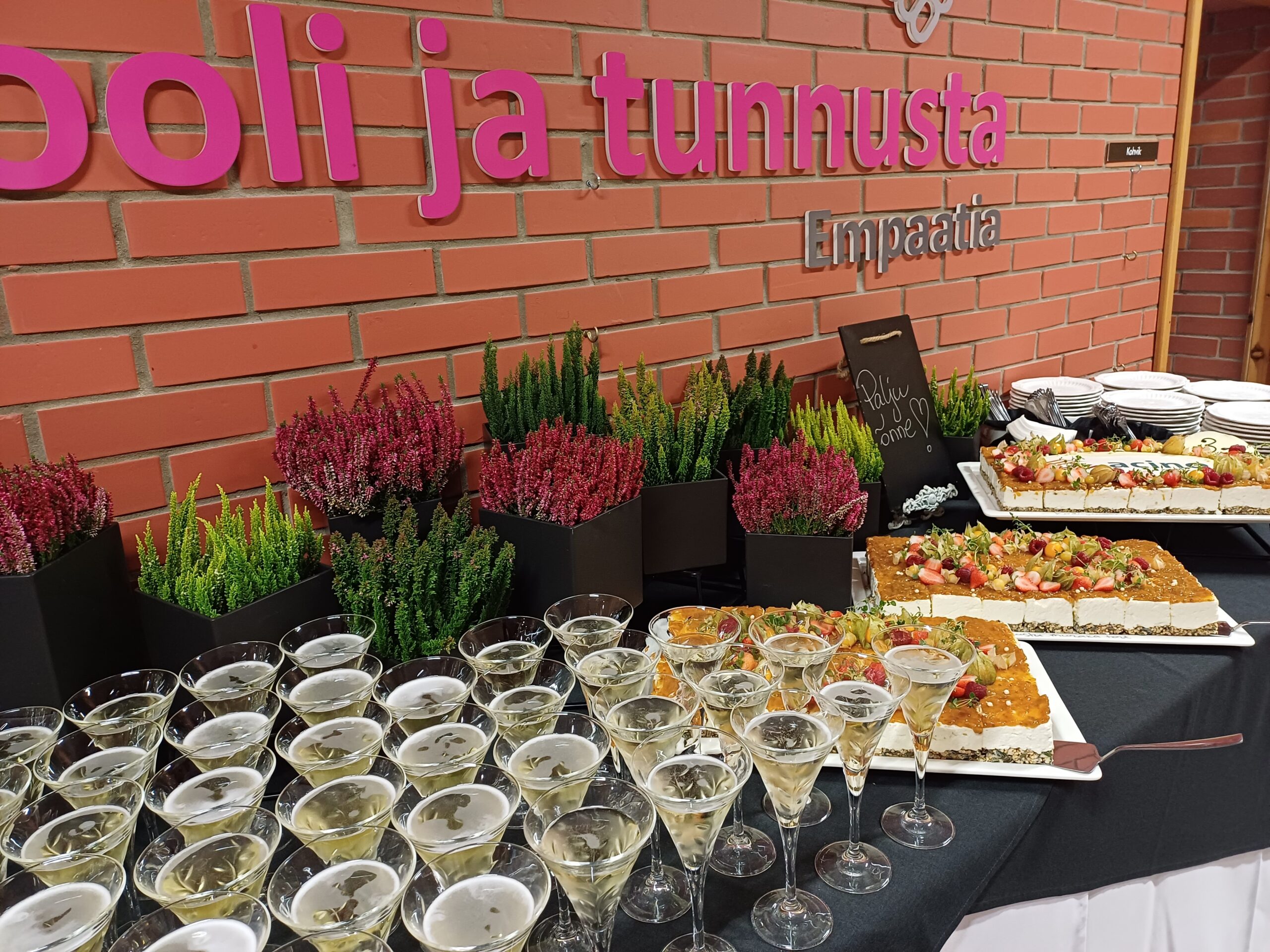 Mida_Teha_Lõuna-Eestis_Taevaskoda_Taevaskoja_catering_Põlvamaal_Valgamaal_Võrumaal_Tartumaal_Tartus_Tillu_kohvik_Eesti_Acino_Estonia_sünnipäev_buffee