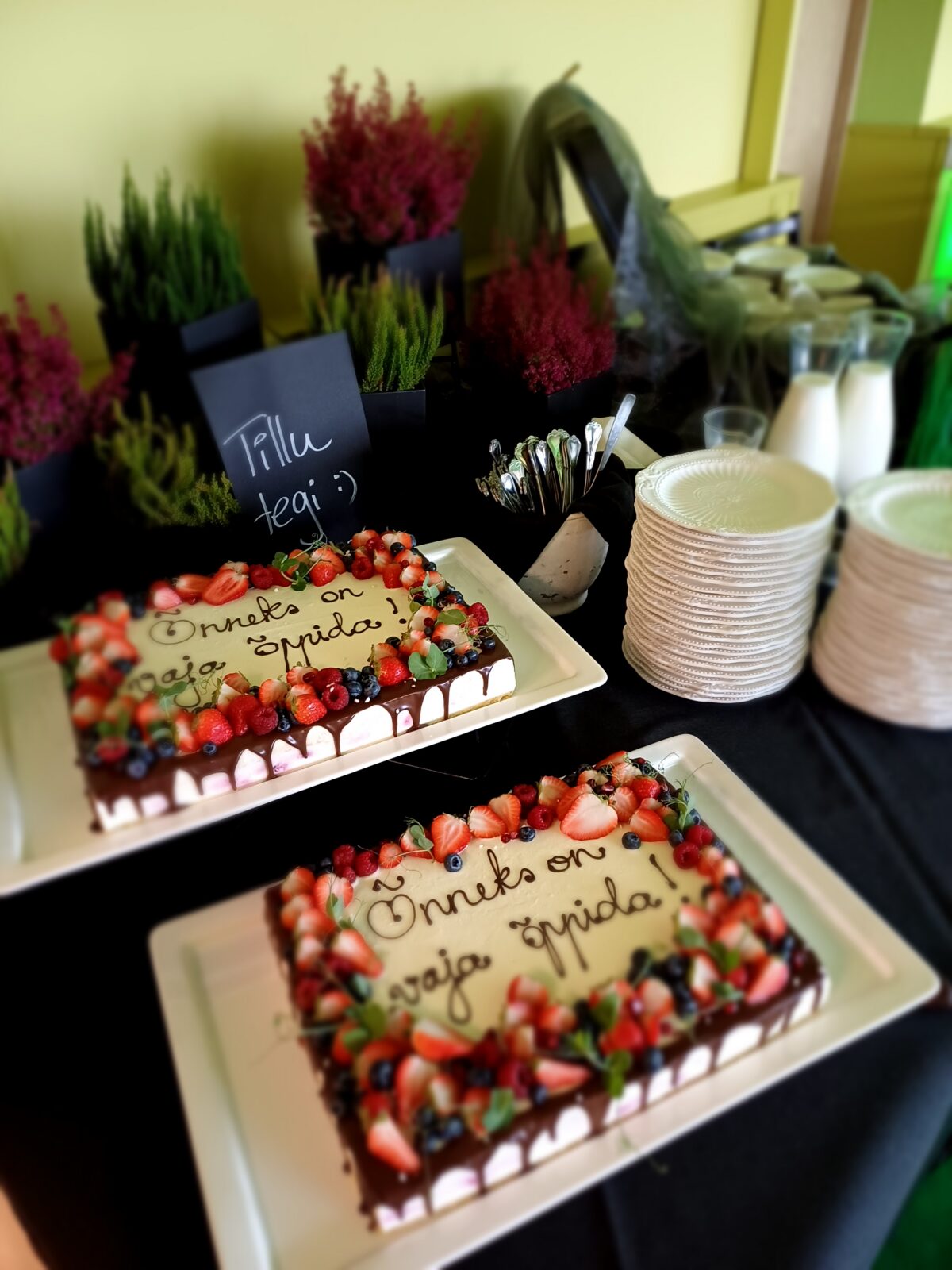 Mida_Teha_Lõuna-Eestis_Taevaskoda_Taevaskoja_catering_Põlvamaal_Valgamaal_Võrumaal_Tartumaal_Tartus_Tillu_kohvik_Õnneks_on_vaja_õppida