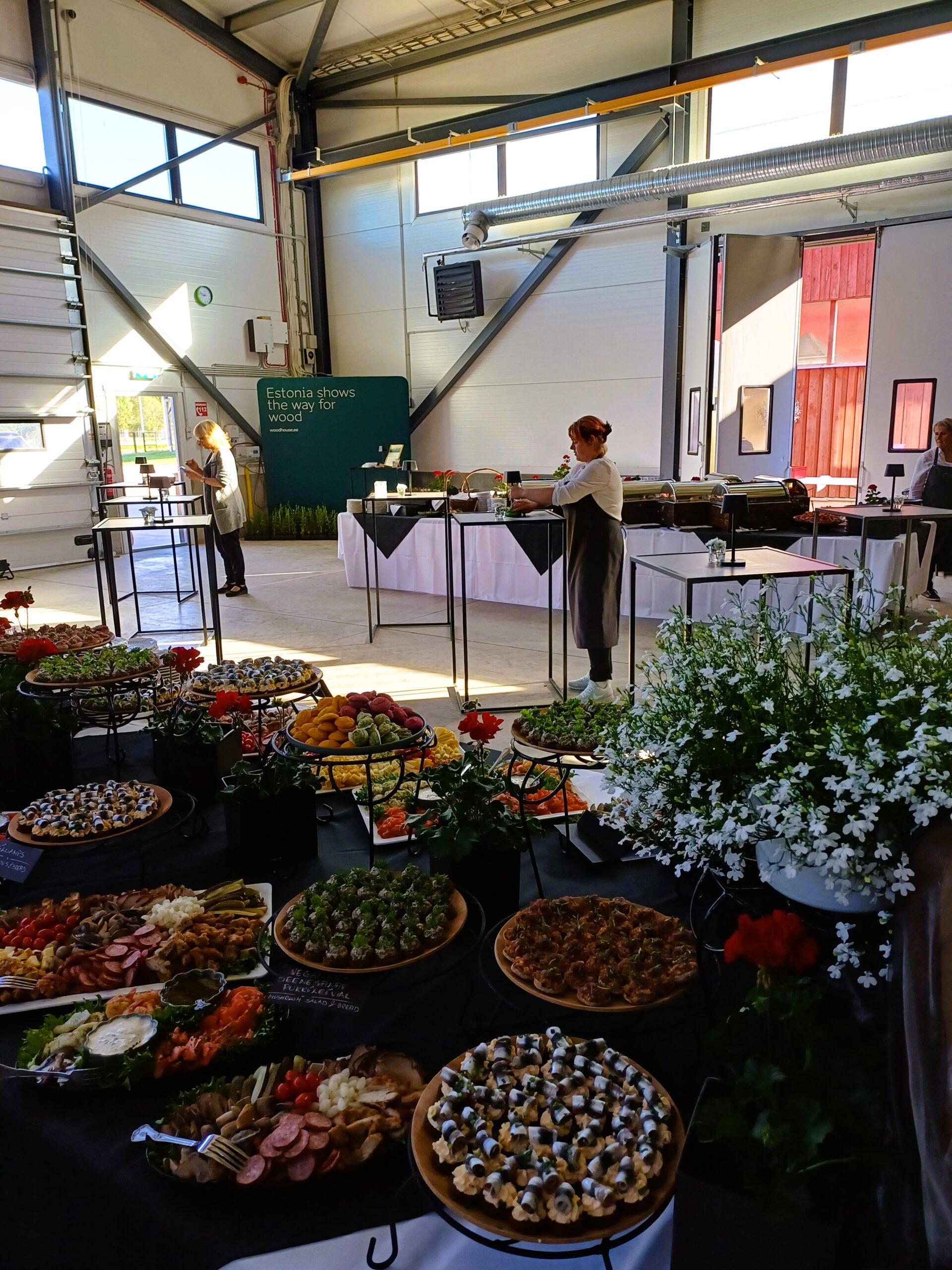 Mida_Teha_Lõuna-Eestis_Taevaskoda_Taevaskoja_catering_Põlvamaal_Valgamaal_Võrumaal_Tartumaal_Tartus_Tillu_kohvik_Puitmajaehitajate_Liit_Hobbiton._2