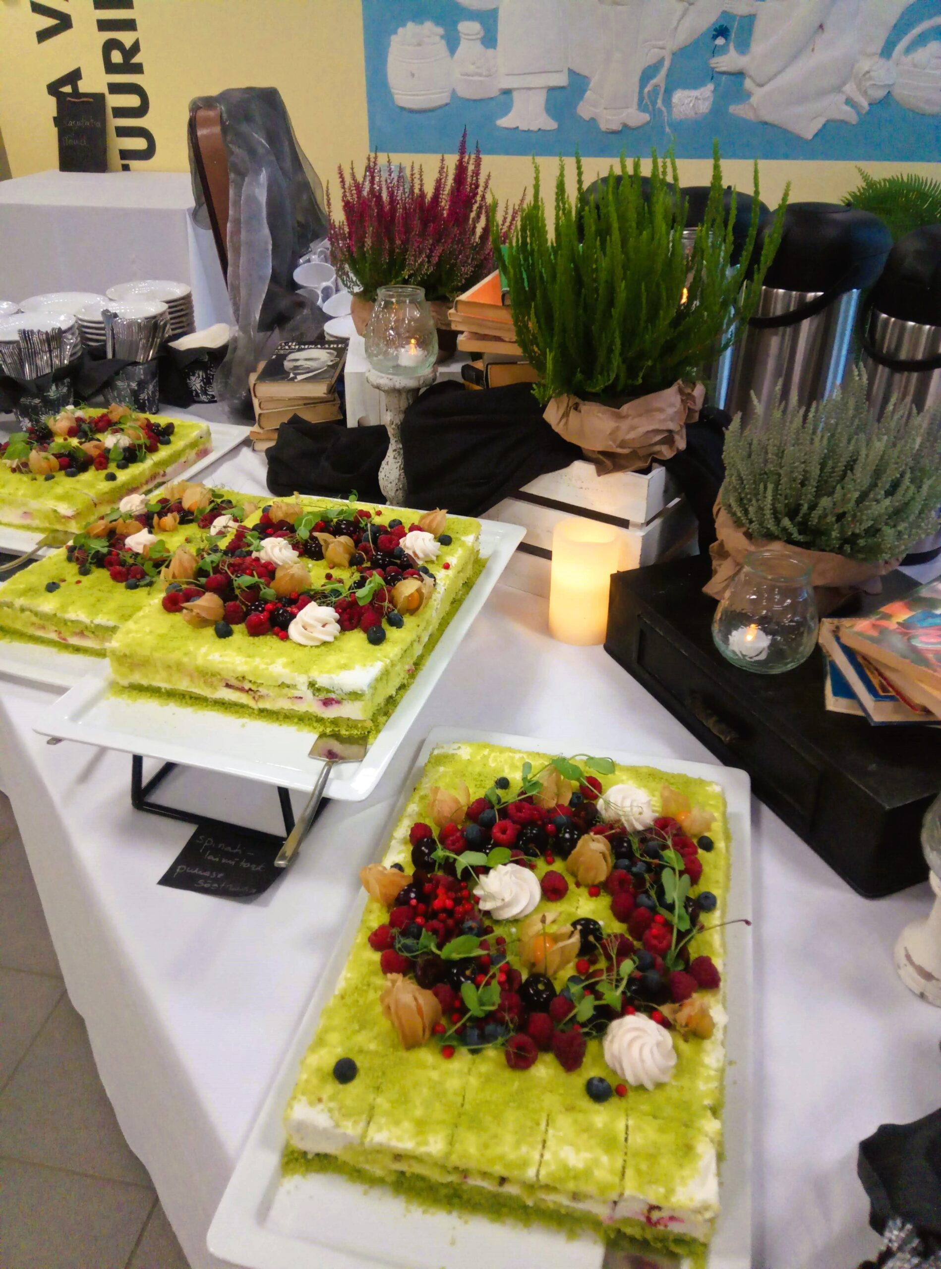 Mida_Teha_Lõuna-Eestis_Taevaskoda_Taevaskoja_catering_Põlvamaal_Valgamaal_Võrumaal_Tartumaal_Tartus_Tillu_kohvik_Räpina_sadamas