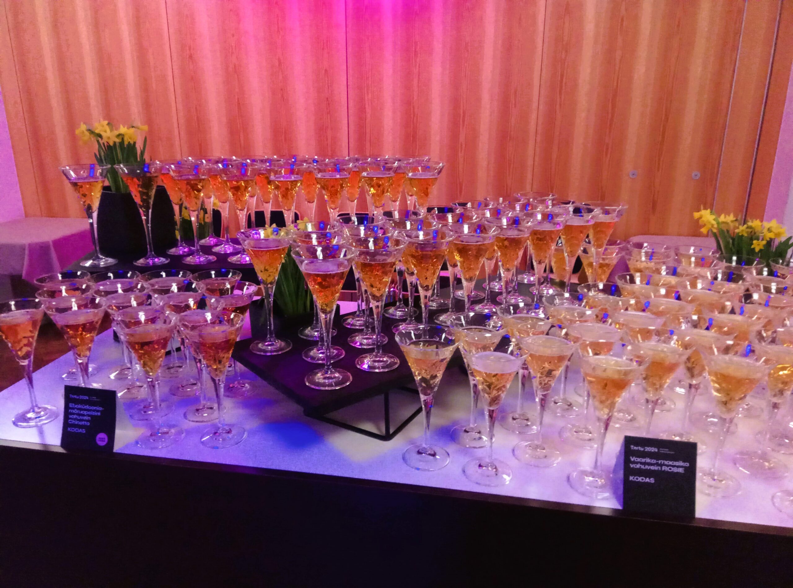 Mida_Teha_Lõuna-Eestis_Taevaskoda_Taevaskoja_catering_Põlvamaal_Valgamaal_Võrumaal_Tartumaal_Tartus_Tillu_kohvik_Tartu_2024