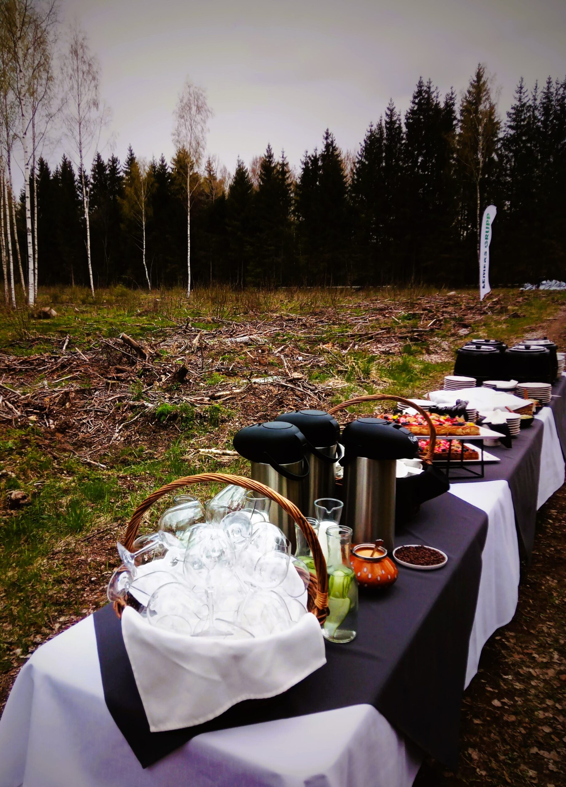 Mida_Teha_Lõuna-Eestis_Taevaskoda_Taevaskoja_catering_Põlvamaal_Valgamaal_Võrumaal_Tartumaal_Tartus_Tillu_kohvik_metsaistutusel